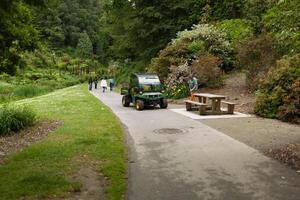 Brest, France 31 May 2018 Landscaper Worker cleaning foot way in park photo