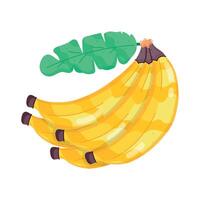 conjunto de plátano plano pegatinas vector