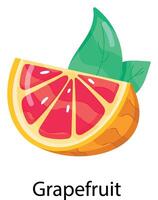 Exotic Fruits Flat Stickers vector