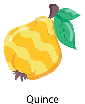 Exotic Fruits Flat Stickers