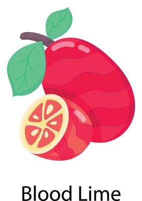 Exotic Fruits Flat Stickers
