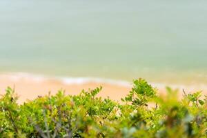 Aerial view of sea waves and sandy beach photo