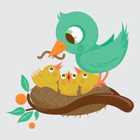 Cute birds in the nest in springtime. A mother bird feeding the young birds in the nest. Vector illustration