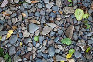 beautiful texture with sea stones fallen autumn leaves photo