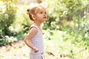 Little Caucasian girl, two years old, gathering unripe cherries in orchard photo