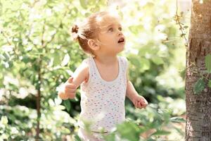 Little Caucasian girl, two years old, gathering unripe cherries in orchard photo