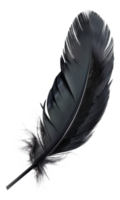 AI generated Black quill on transparent background - stock png. png