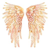 AI generated Peach and cream feathered wings arching gracefully on transparent background - stock png. png