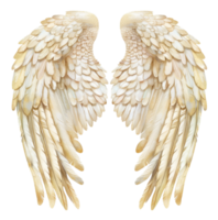 AI generated Pair of creamy white feathered wings on transparent background - stock png. png
