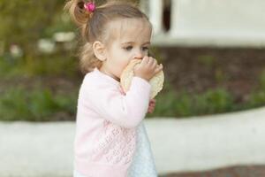 soft focus photo of little curly girl with two tails walking in the backyard on the green grass