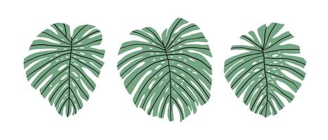 Hand drawn set with tropical leaves. Jungle, rain forest, wildlife. Vector illustration in flat style.