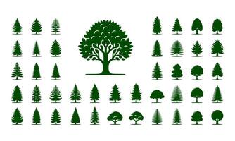 Diversity of trees set on background white vector