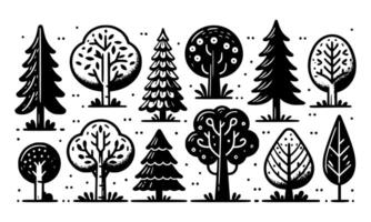 Diversity of trees set on background white vector