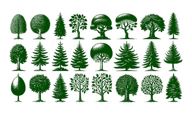 Diversity of trees set on background white