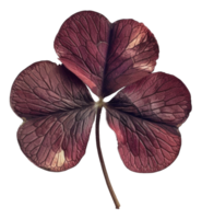 AI generated Deep red clover leaf on transparent background - stock png. png