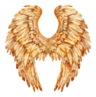 AI generated Golden feathered wings with natural texture on transparent background - stock png. png