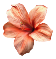 ai genererad vibrerande orange lilja blomma på transparent bakgrund - stock png. png