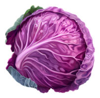 AI generated Purple cabbage with vibrant leaves on transparent background - stock png. png