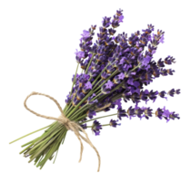 ai generado Fresco lavanda ramo de flores con verde tallos en transparente antecedentes - valores png. png