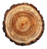 AI generated Cross-section of a tree trunk showing annual growth rings on transparent background - stock png. png