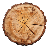 AI generated Cross-section of a tree trunk showing annual growth rings on transparent background - stock png. png