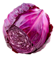 AI generated Purple cabbage with vibrant leaves on transparent background - stock png. png