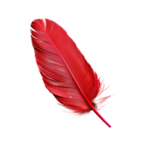 AI generated Single red feather with fine texture on transparent background - stock png. png