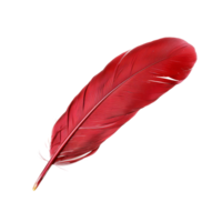 AI generated Single red feather with fine texture on transparent background - stock png. png