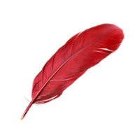 AI generated Single red feather with fine texture on transparent background - stock png. png