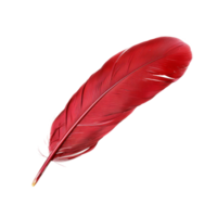 AI generated Single red feather with fine texture on transparent background - stock png. png