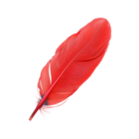 AI generated Single red feather with fine texture on transparent background - stock png. png