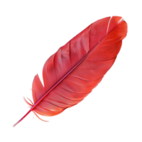 AI generated Single red feather with fine texture on transparent background - stock png. png