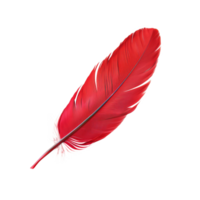 AI generated Single red feather with fine texture on transparent background - stock png. png