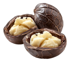 AI generated Whole macadamia nuts in shell with visible kernel on transparent background - stock png. png