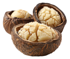 AI generated Whole macadamia nuts in shell with visible kernel on transparent background - stock png. png