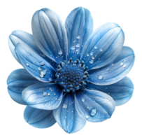 AI generated Vibrant blue African daisy on transparent background - stock png. png