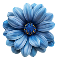 AI generated Vibrant blue flower with intricate petals on transparent background - stock png. png