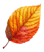 AI generated Vibrant orange autumn leaf with detailed veins on transparent background - stock png. png