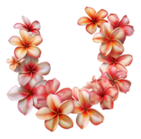 AI generated Letter shaped arrangement of colorful frangipani flowers on transparent background - stock png. png