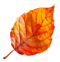 AI generated Vibrant orange autumn leaf with detailed veins on transparent background - stock png. png