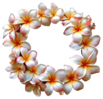 ai generado vibrante frangipani flores formando un circular modelo en transparente antecedentes - valores png. png