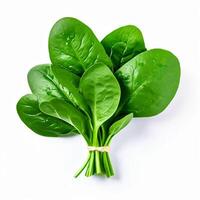 AI generated fresh spinach on white background photo