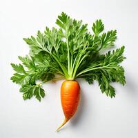 AI generated fresh raw carrots on a white background photo