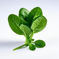 AI generated fresh spinach on white background photo