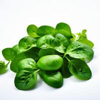 AI generated fresh spinach on white background photo