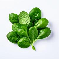 AI generated fresh spinach on white background photo
