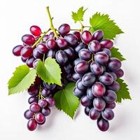 AI generated a bunch of fresh ripe juicy organic red grapes with green leaves isolated on white background photo