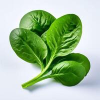 AI generated fresh spinach on white background photo