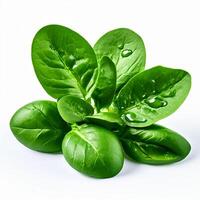 AI generated fresh spinach on white background photo