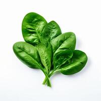 AI generated Spinach series on white background photo